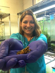 Ranas