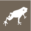 Especies salvadas de la extinción