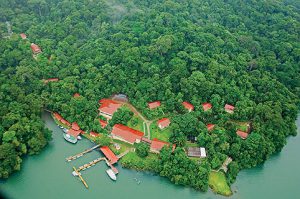 La isla de Barro Colorado, con un área de 15 kilómetros cuadrados, es la meca para el estudio de la biología tropical. Es un lugar verdaderamente mágico en el cual se llevan a cabo una importante cantidad de estudios e investigaciones.