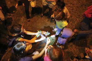 Durante los “Gamboa Bat Nights” o Noches de Murciélagos, las caras de los pequeños al examinar de cerca a estas criaturas son invaluables.