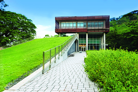 Un nuevo y magnífico edificio, construido gracias a una inversión de 20 millones de dólares, se erige imponente. Se trata del Laboratorio de Gamboa, clave en la actividad científica del Smithsonian en Panamá.