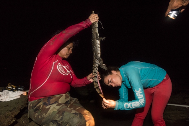 La labor de la Dra. Myriam Venegas es de un peligro extremo. Es increíble que tan solo un cocodrilo le haya caído encima teniendo en cuenta que trabaja diariamente con ellos en hábitats naturales y sin ningún tipo de protección.