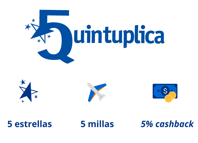 Quintuplica Cashback Italic